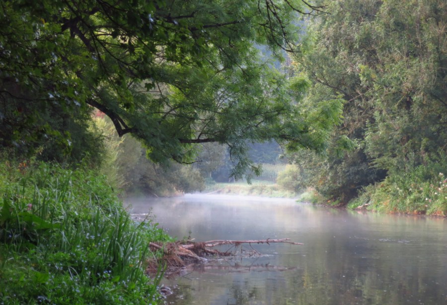 Tretrollertour vom Brombachsee zum Kloster&nbsp;Weltenburg